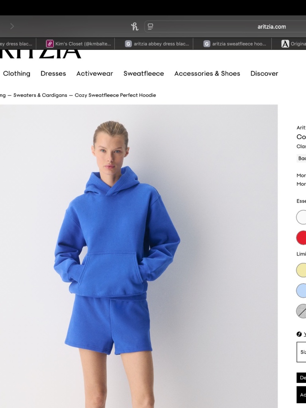 Aritzia Blue Cozy Sweatfleece Perfect Hoodie